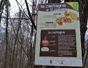 80 Da Poscante sul Sentiero delle castagne